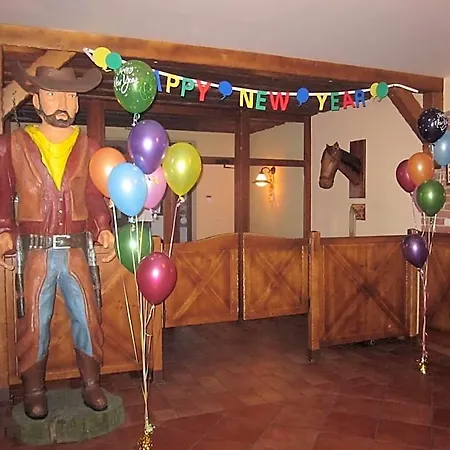 Country Saloon 3*